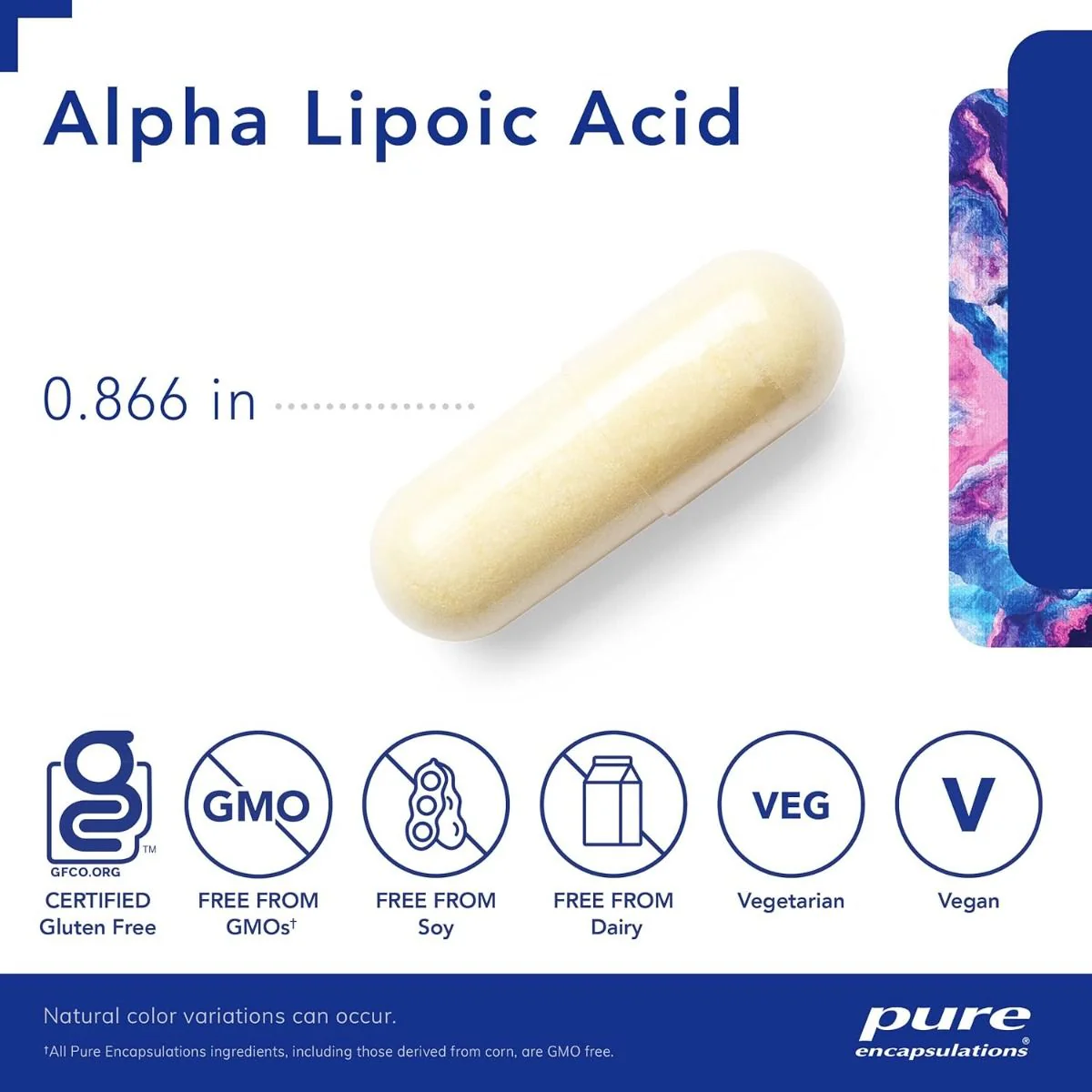 Alpha Lipoic Acid 100 MG 60 Veggie Caps - Image 3