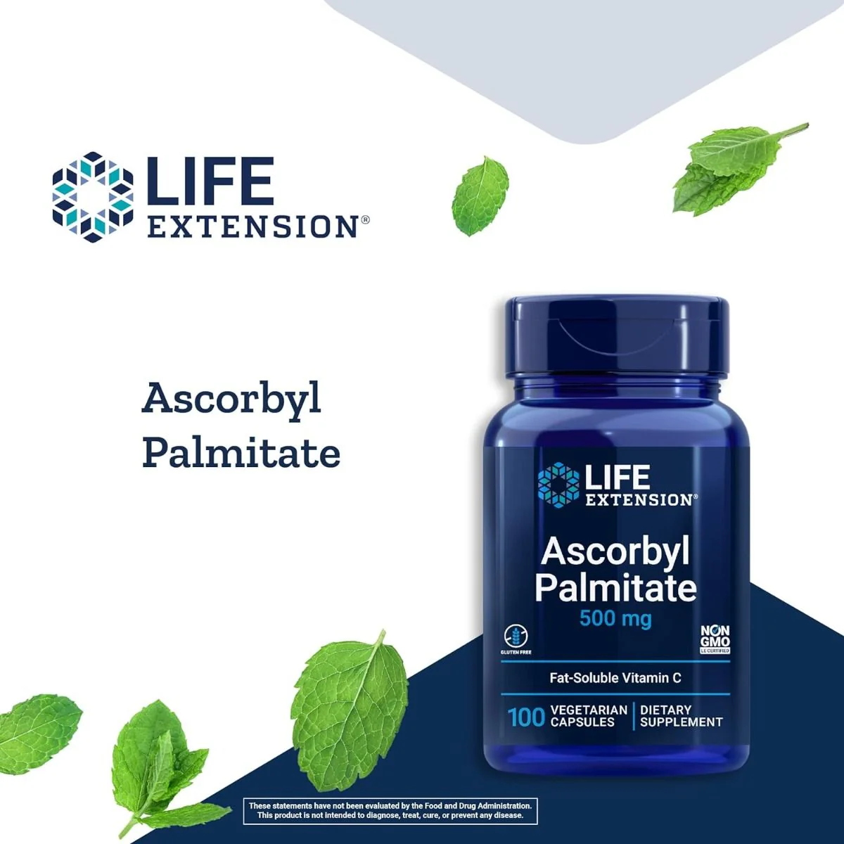 Ascorbyl Palmitate 500 MG 100 Veggie Caps - Image 8