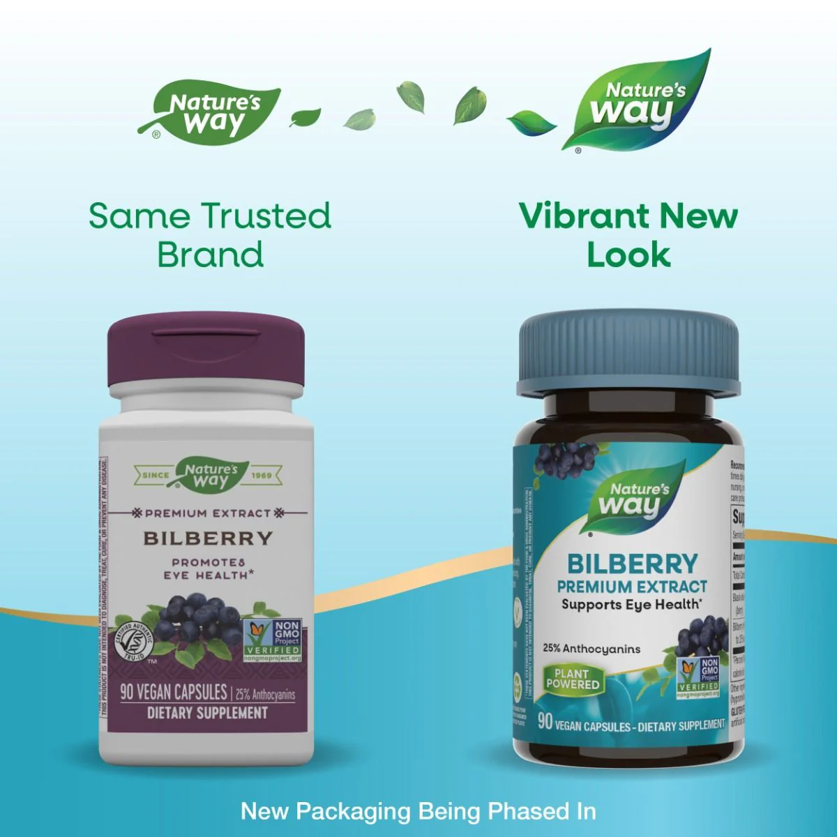 Bilberry 80 MG 90Vegan Capsules - Image 12