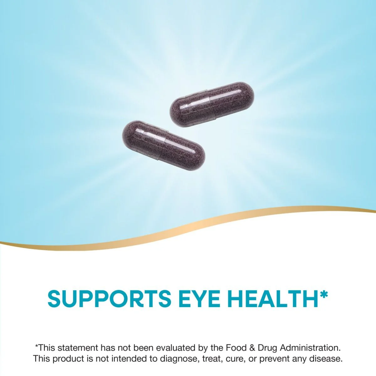 Bilberry 80 MG 90Vegan Capsules - Image 13