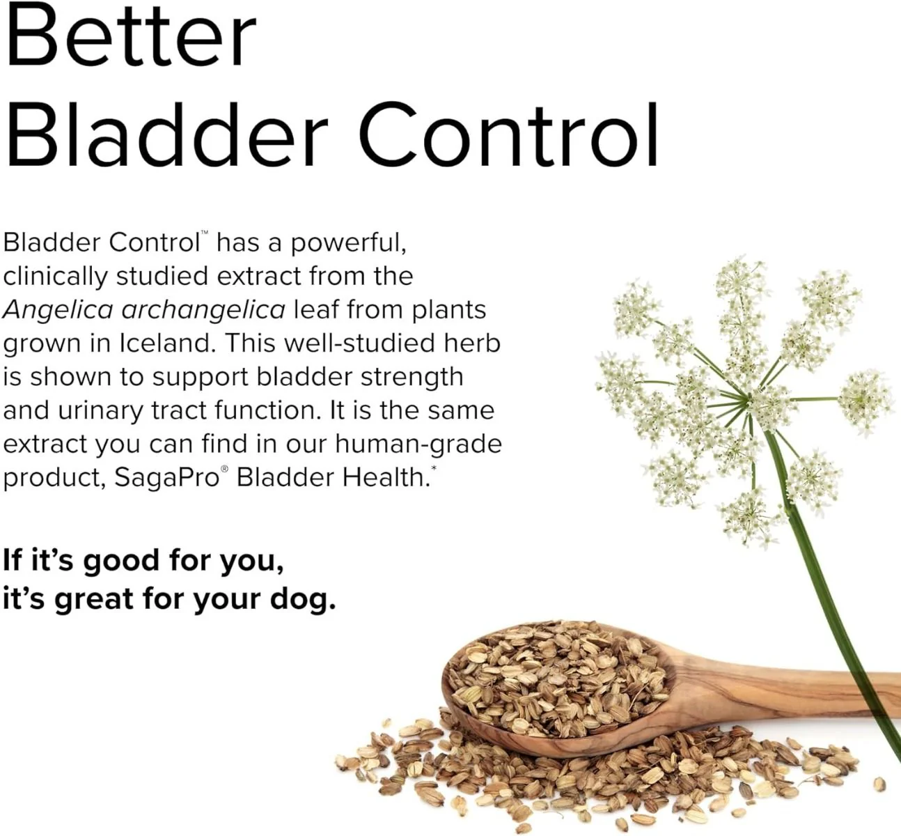 Bladder Control (For Dogs!) 30 Capsules - Image 5