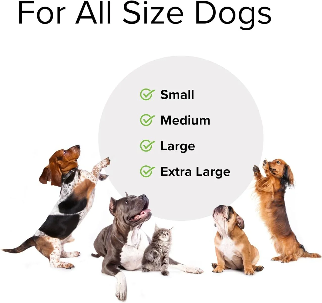 Bladder Control (For Dogs!) 30 Capsules - Image 6