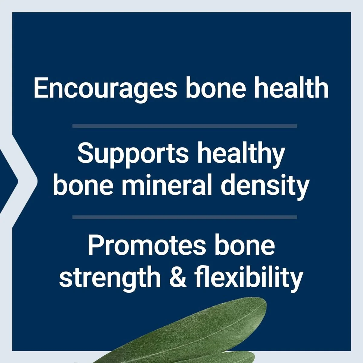 Bone Strength Collagen Formula 120 Capsules - Image 8