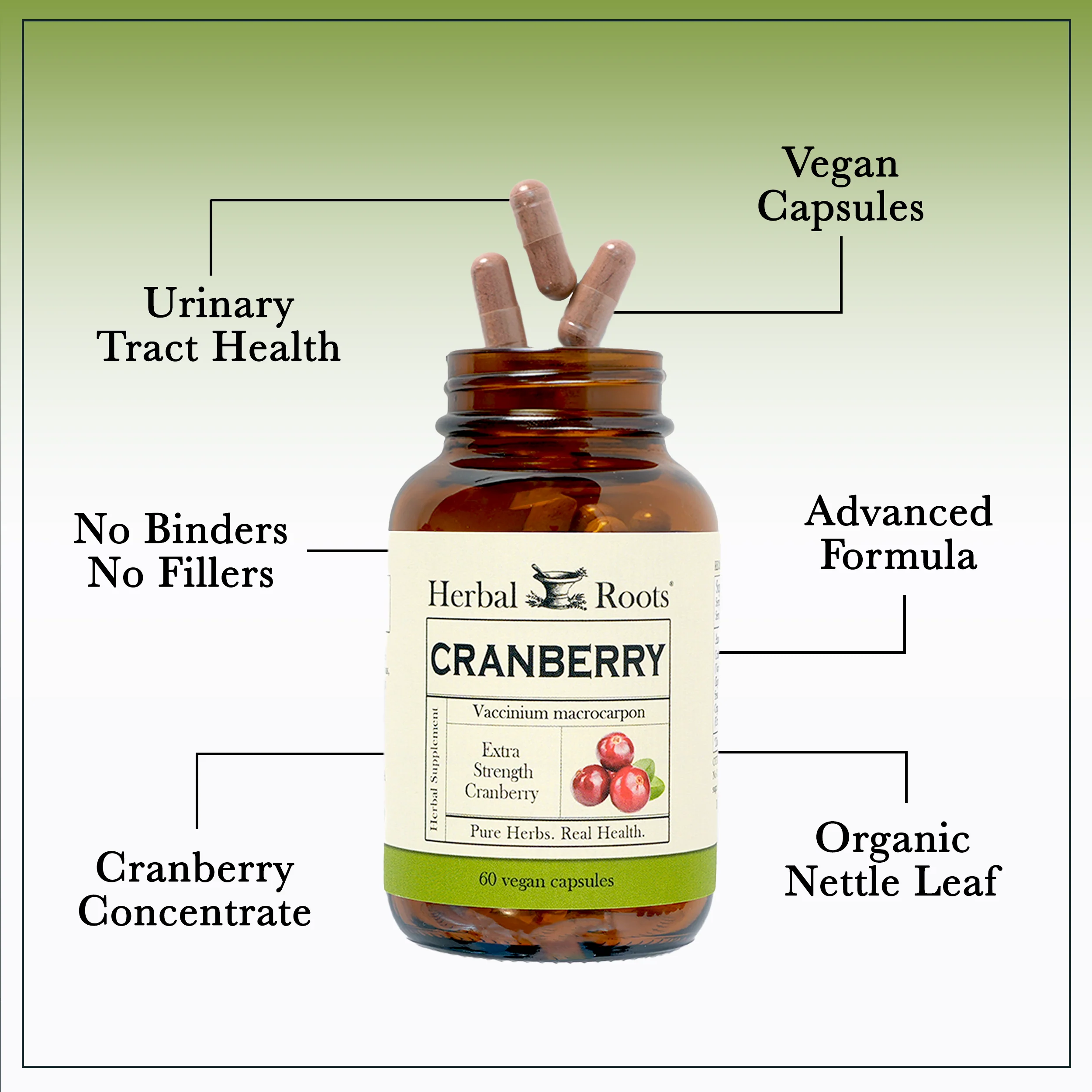 Cranberry with Nettle - Image 3