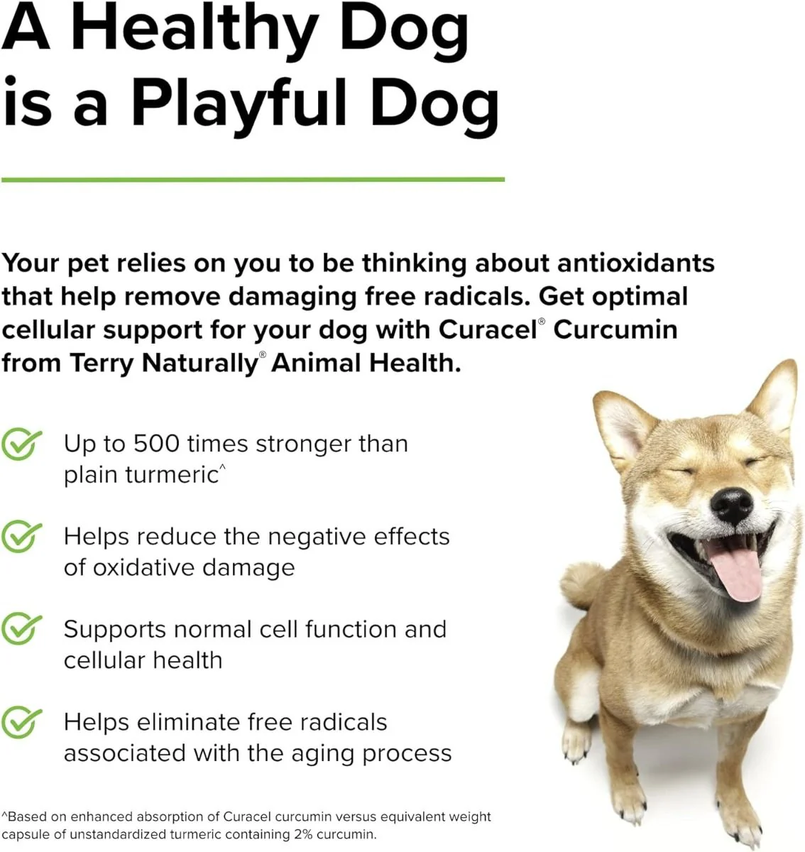 Curacel Curcumin (For Dogs!) 60 Softgels - Image 4