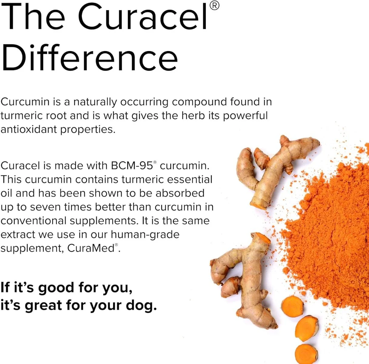 Curacel Curcumin (For Dogs!) 60 Softgels - Image 5