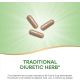 Dandelion Root 100Capsules - Image 7