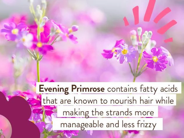 Detangling Conditioner - Instantly Smooth Berry Primrose 6 fl. oz. - Image 6
