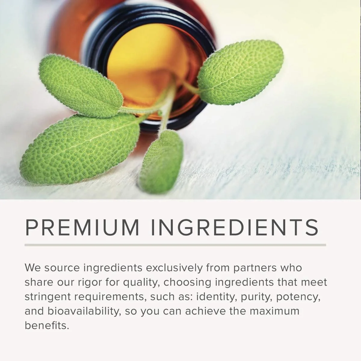 Detoxication Factors Capsules - Image 5