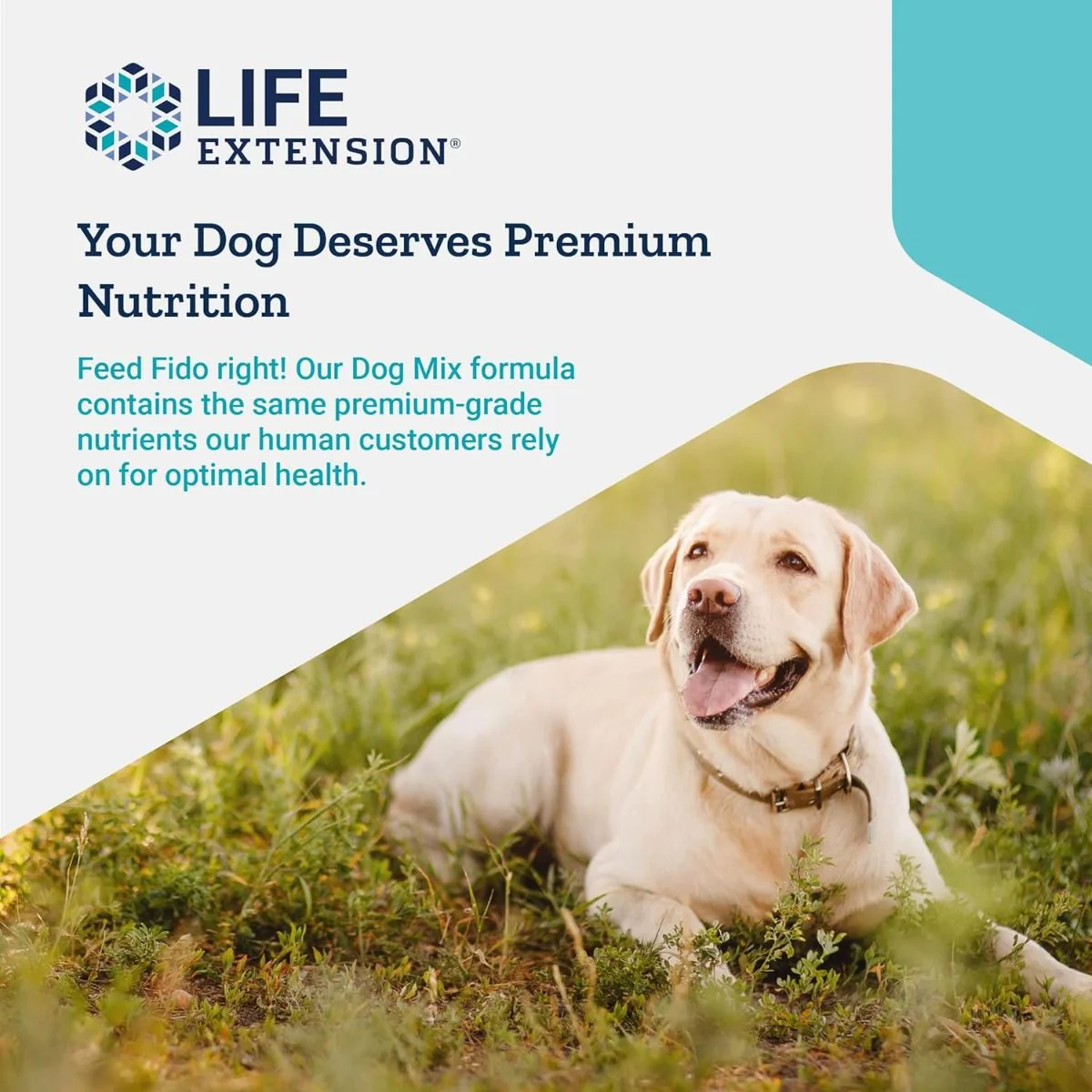 Dog Mix 100 G Powder - Image 7