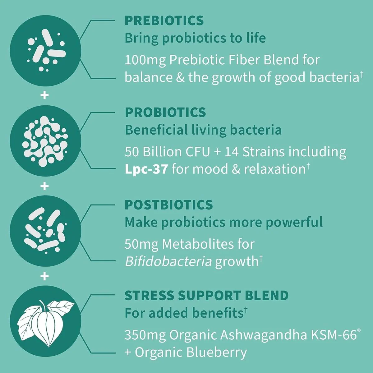 Dr. Formulated Probiotics Calm 30 Veggie Caps - Image 3