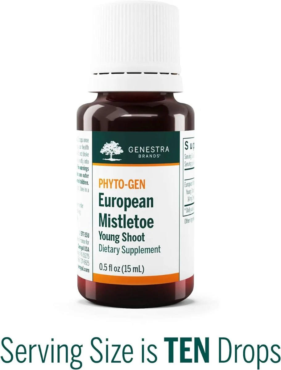 European Mistletoe Young Shoot 0.5oz - Image 3