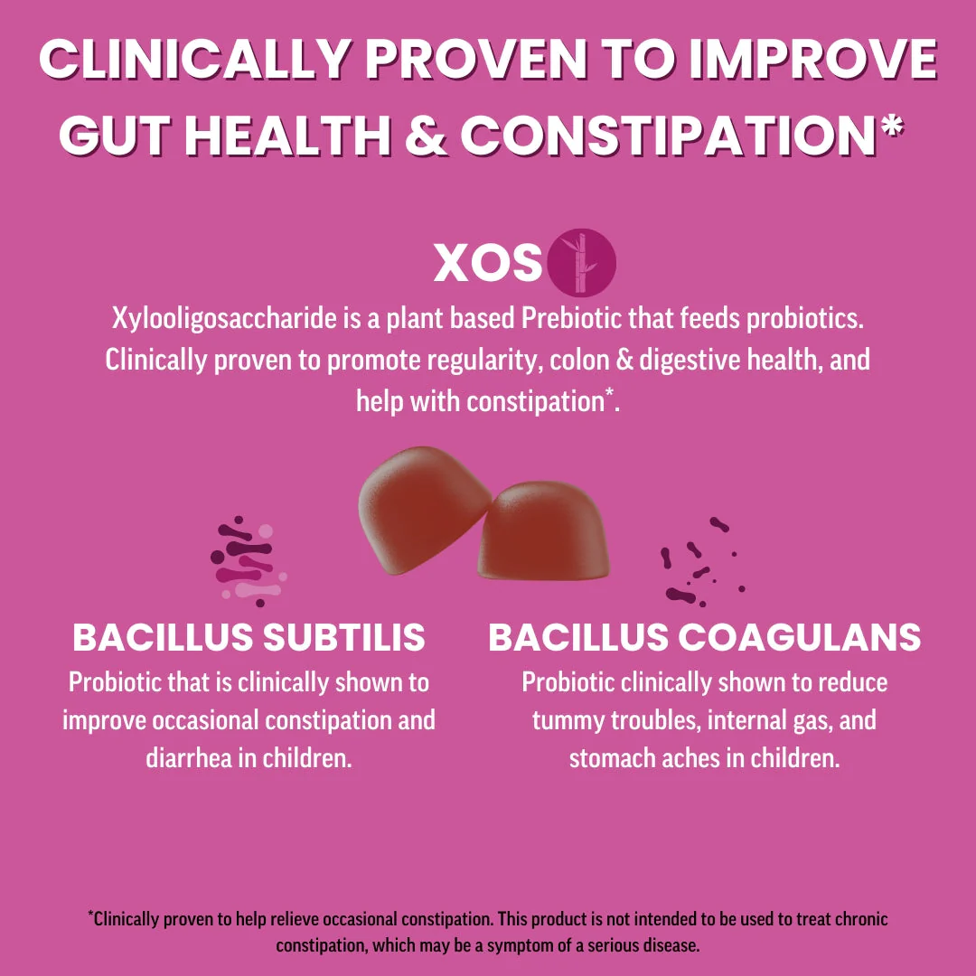 Family Gut Support Bundle – Kids + Adult Pre & Probiotic Gummies – Mixed Berry - Image 13