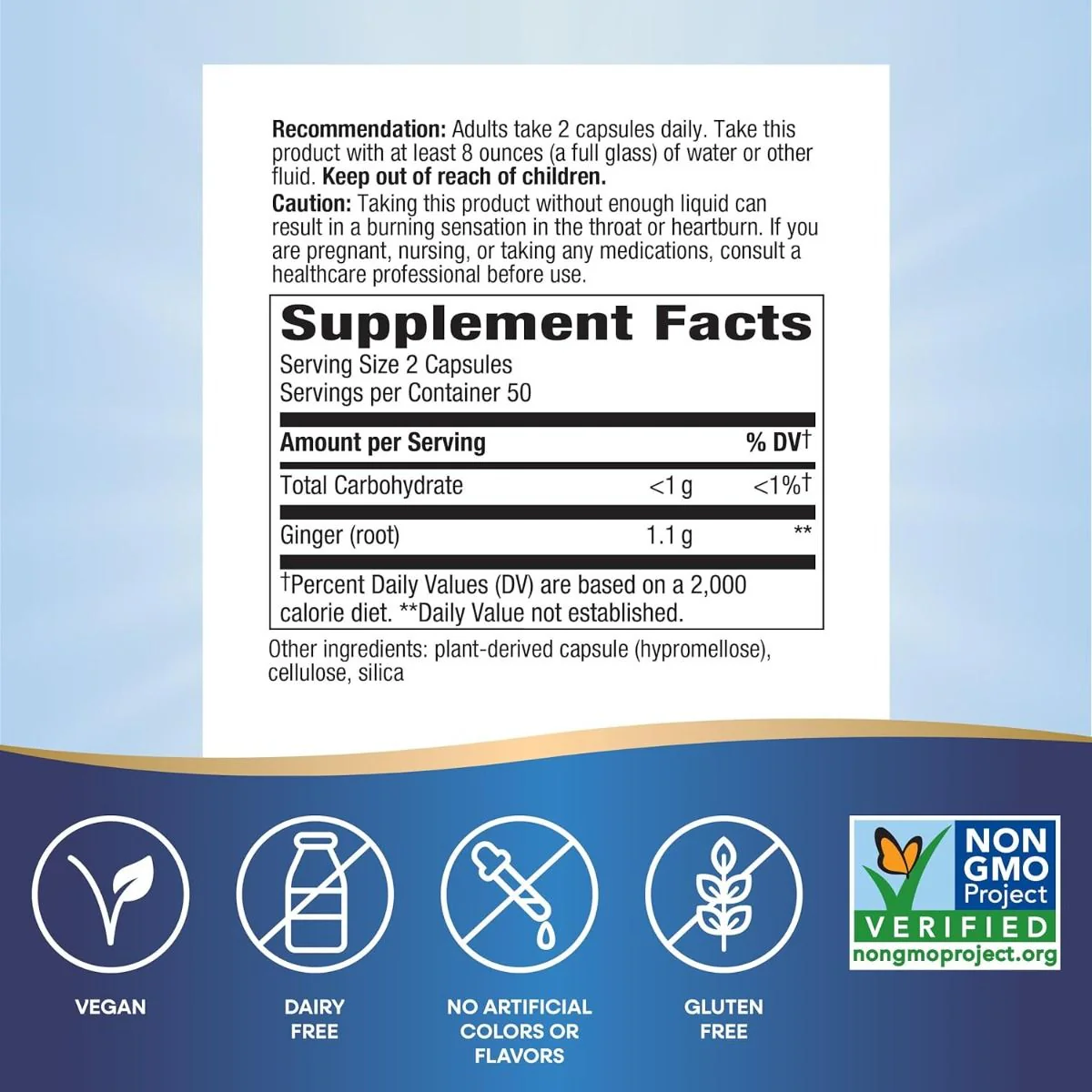 Ginger Root 100Capsules - Image 2
