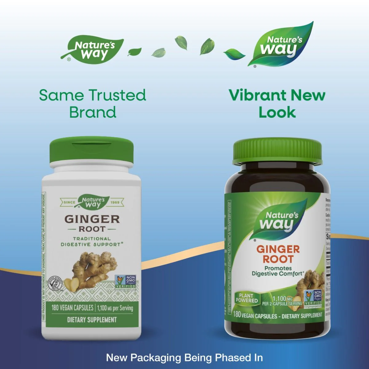 Ginger Root 550 MG 180Capsules - Image 4