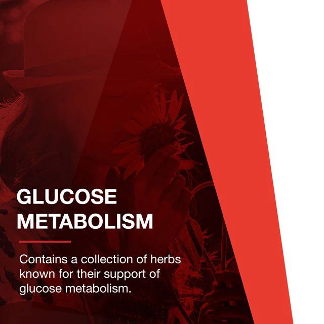Glucose Balance 90 Veggie Caps - Image 8