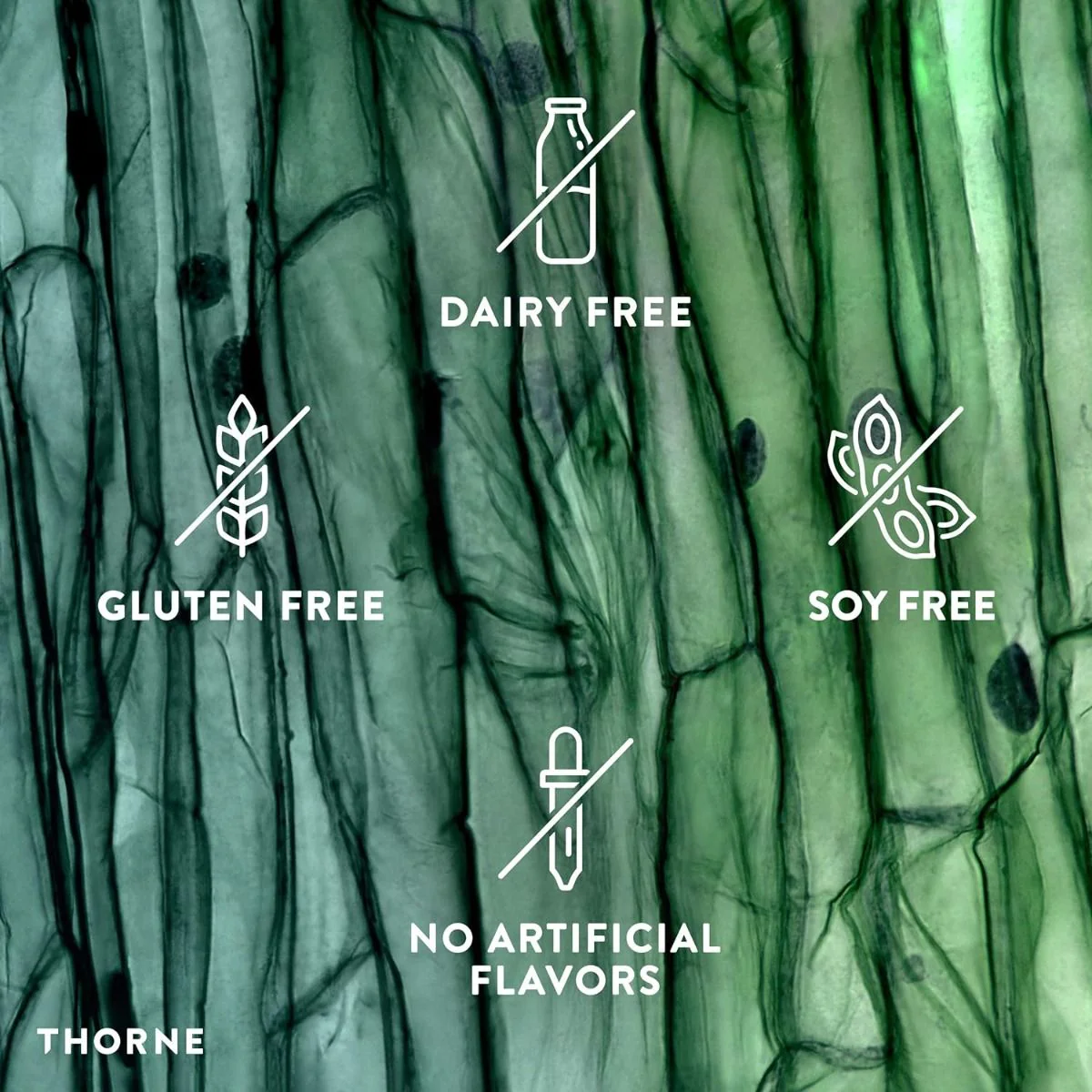 Glycine 250 Veggie Caps - Image 6