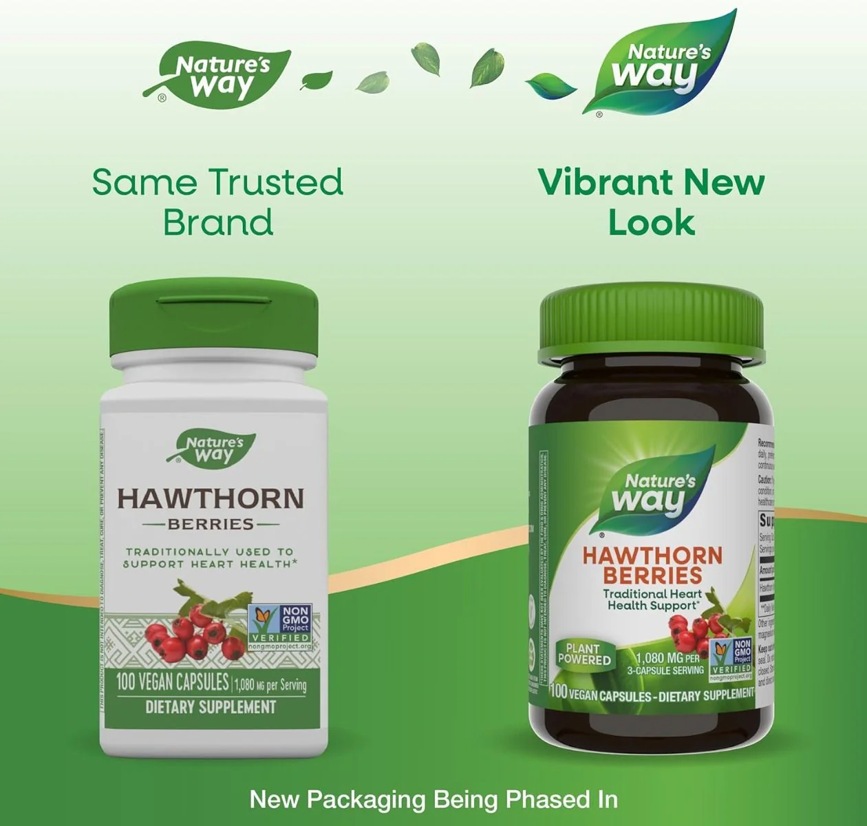 Hawthorn Berries 100Capsules - Image 7