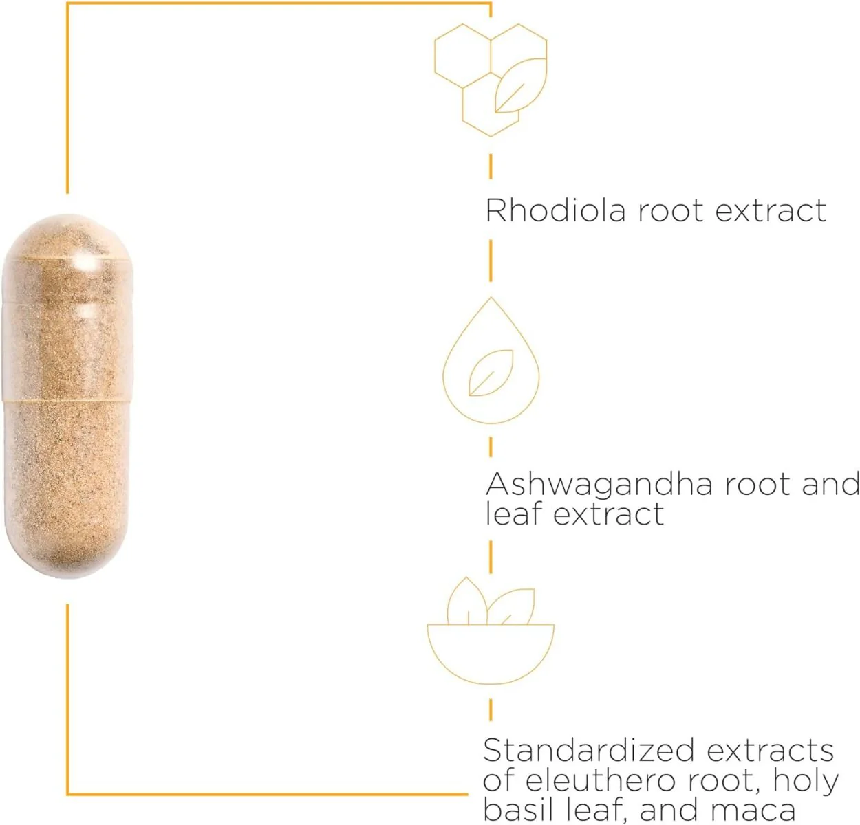 HPA Adapt 120 Veggie Caps - Image 3