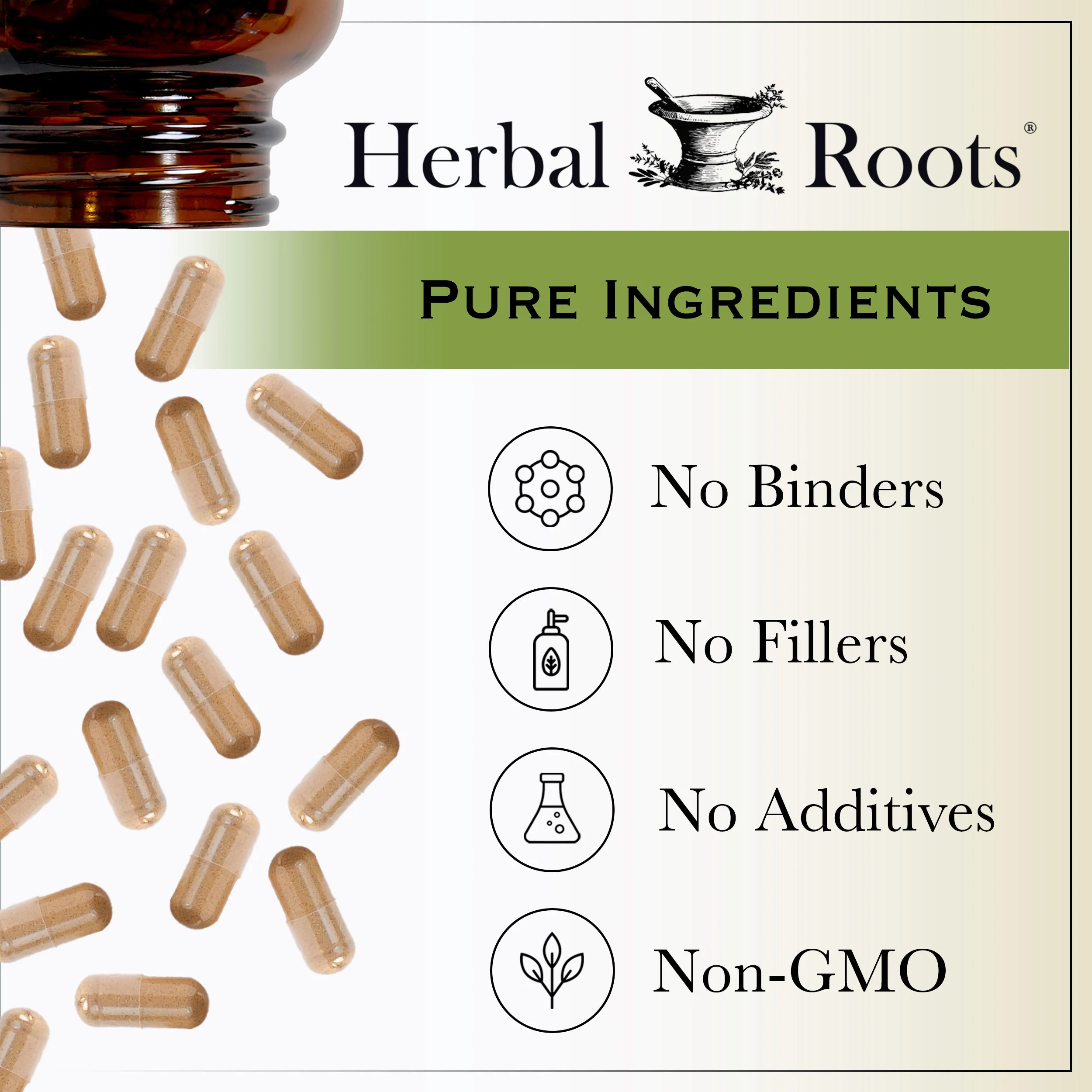 Korean Ginseng - Image 4