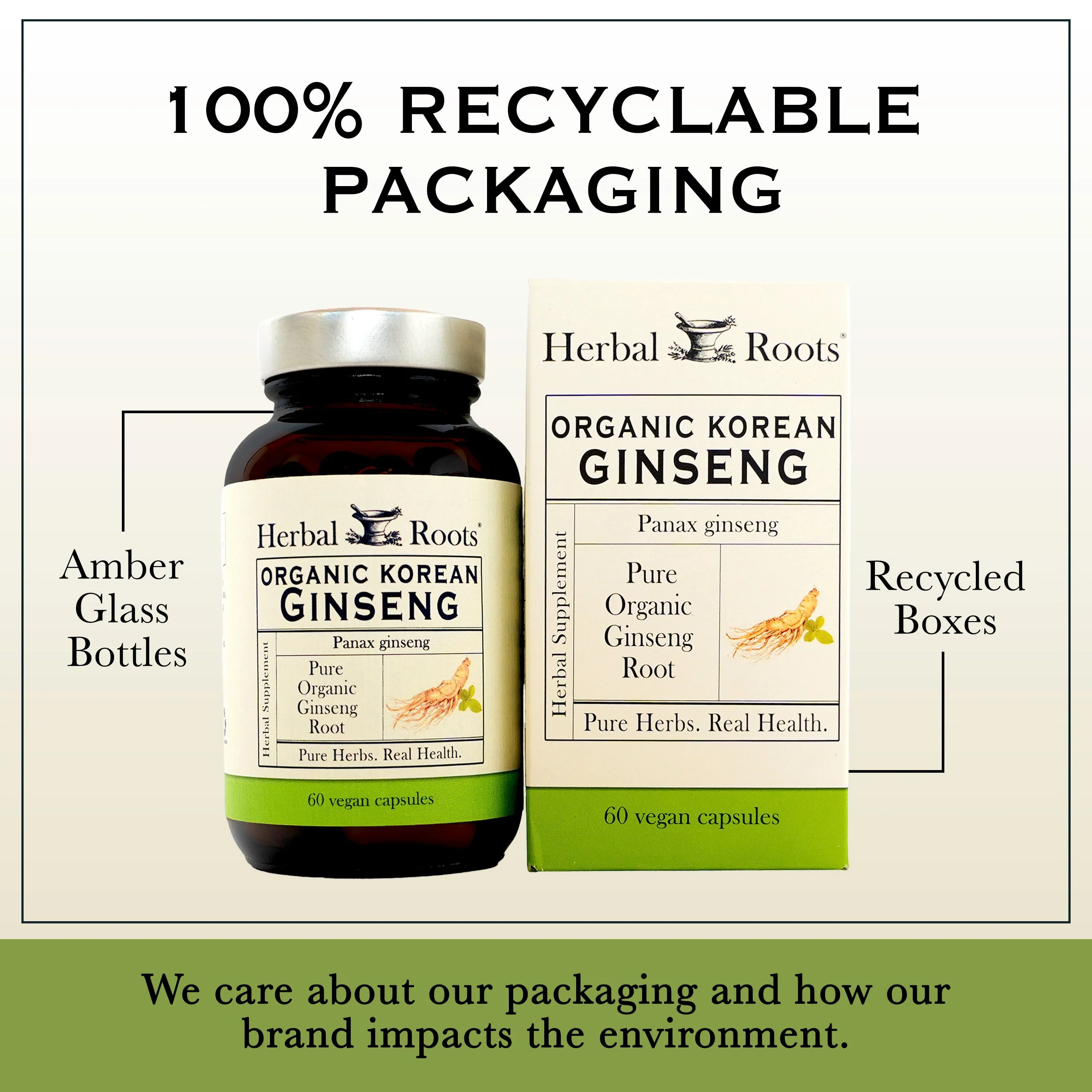 Korean Ginseng - Image 5