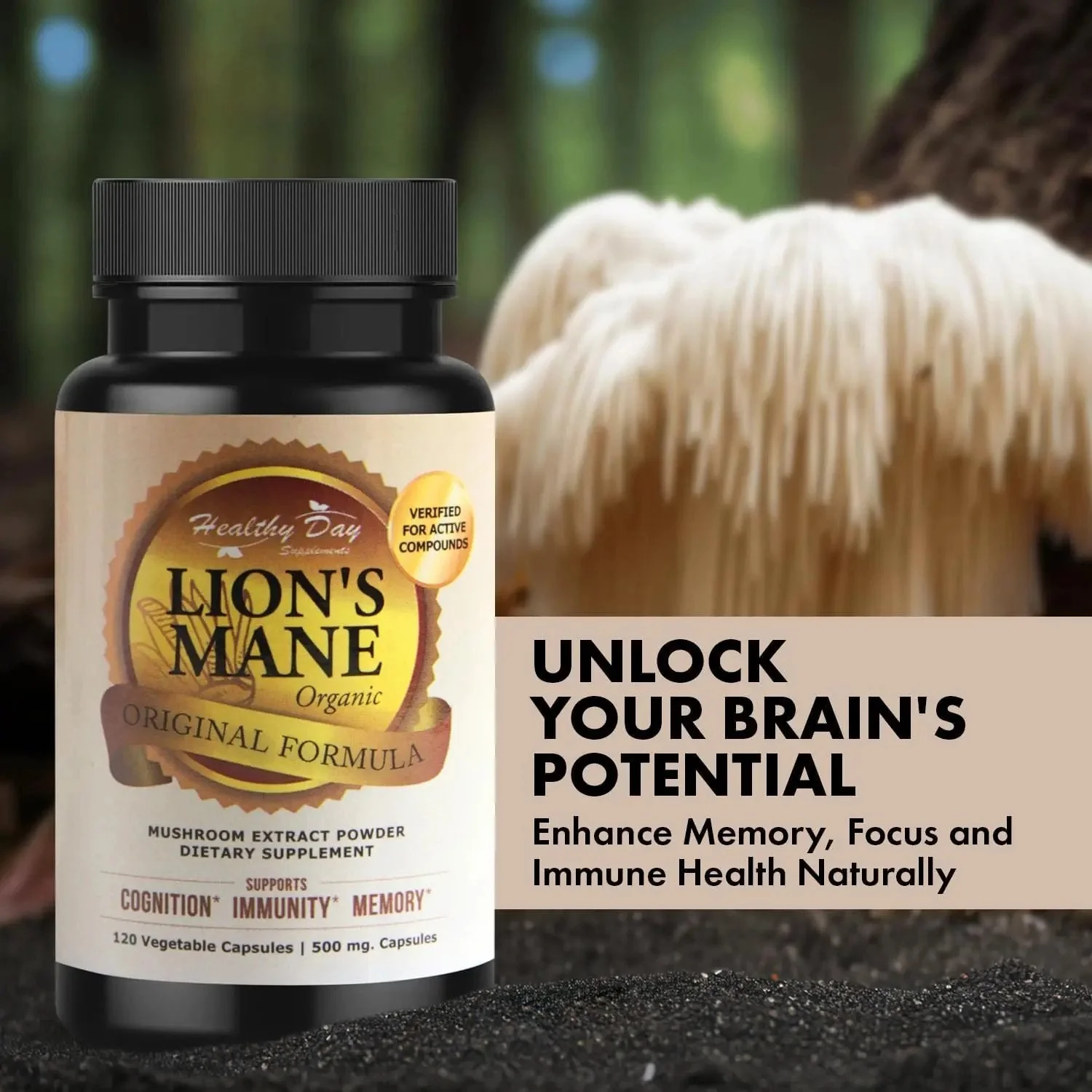 Lion’s Mane Mushroom Capsules – Supports Focus, Memory & Mental Clarity - Image 7