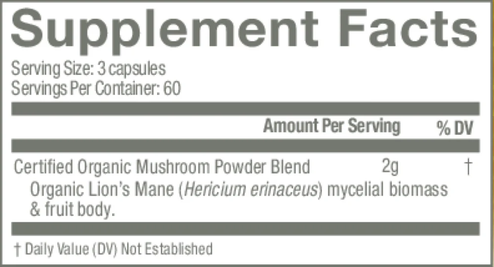 Lion's Mane - Image 3