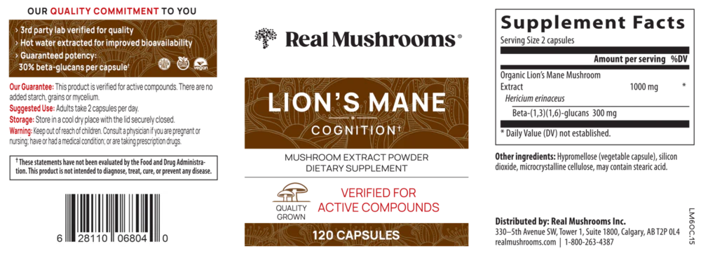 Lion's Mane Extract Capsules - Image 2