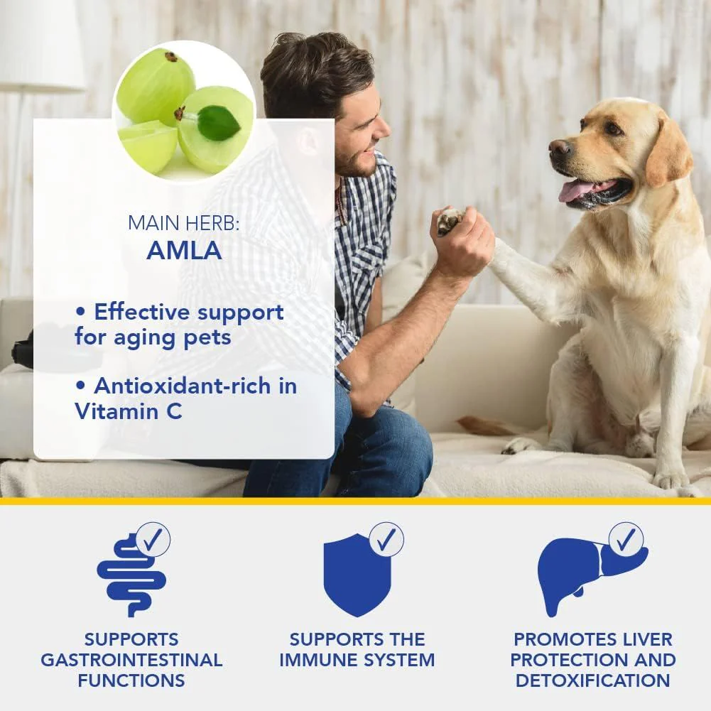 Liver Support Livit-2 Vet Care Product 90Tablets - Image 7