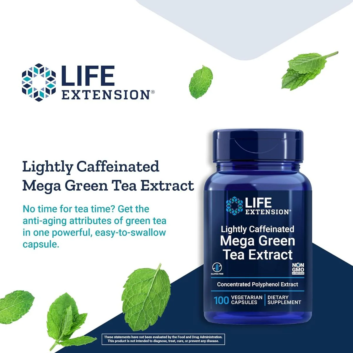 Mega Green Tea Extract (Lightly Caffeinated) 100 Veggie Caps - Image 4