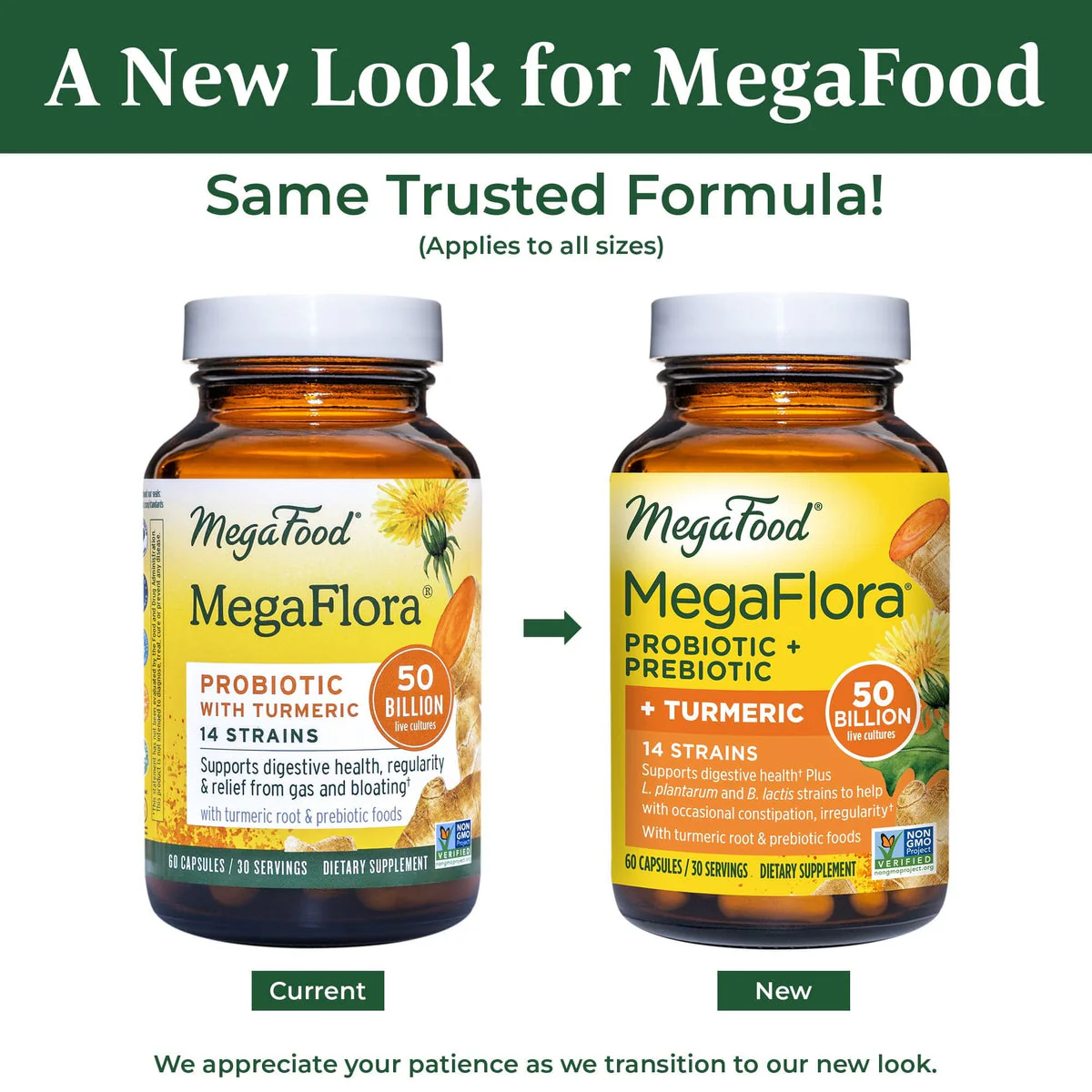 MegaFlora with Turmeric - Image 3