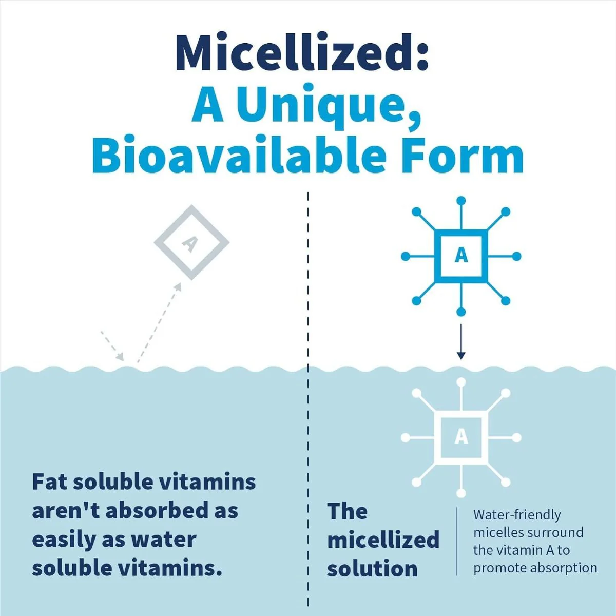 Micellized Vitamin A 1 fl Oz (30mL) Liquid - Image 5