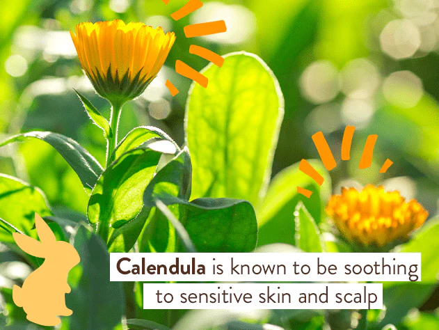 Moisturizing Baby Shampoo and Wash - Oatmilk Calendula - Image 3
