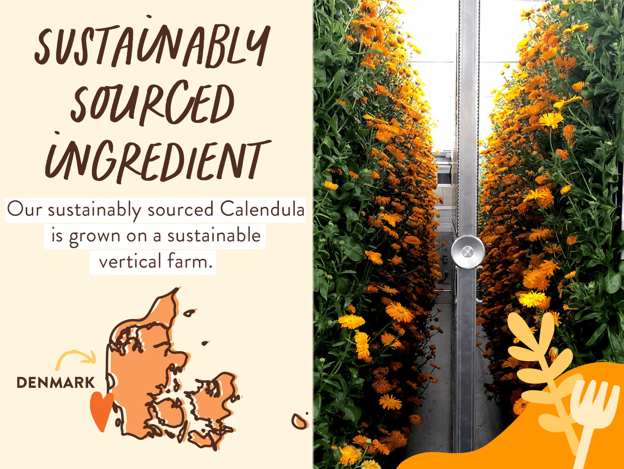 Moisturizing Baby Shampoo and Wash - Oatmilk Calendula - Image 9