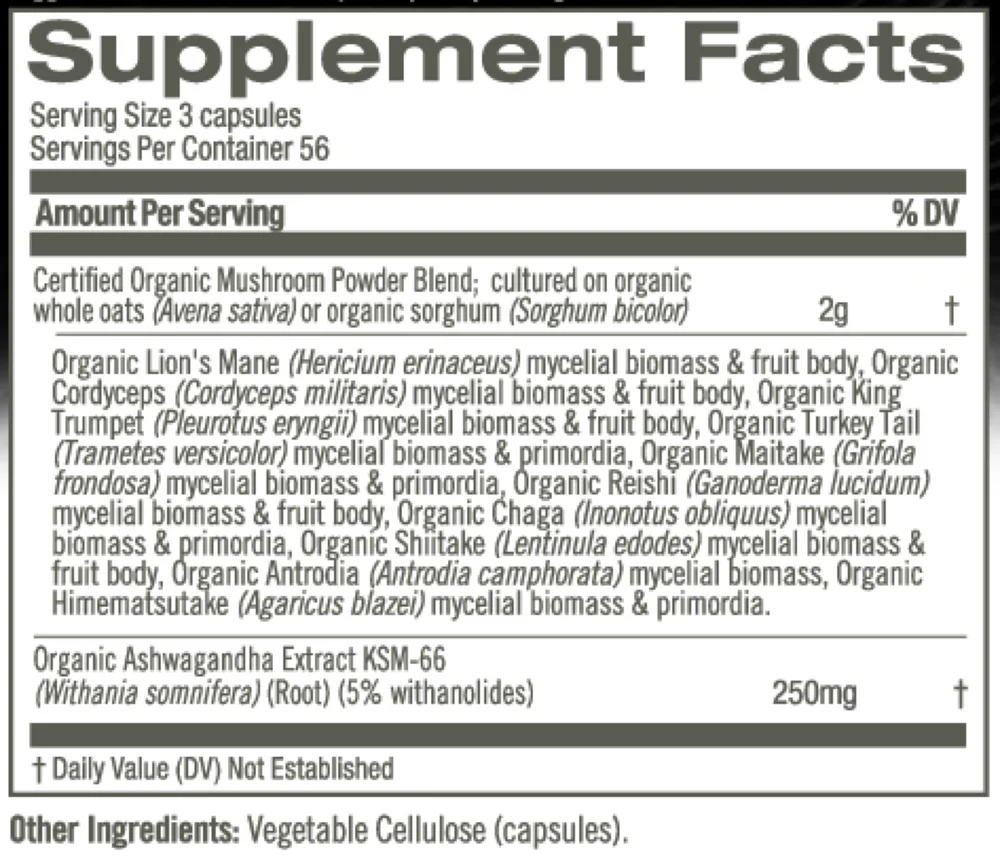 Mushroom Master Blend - Image 3