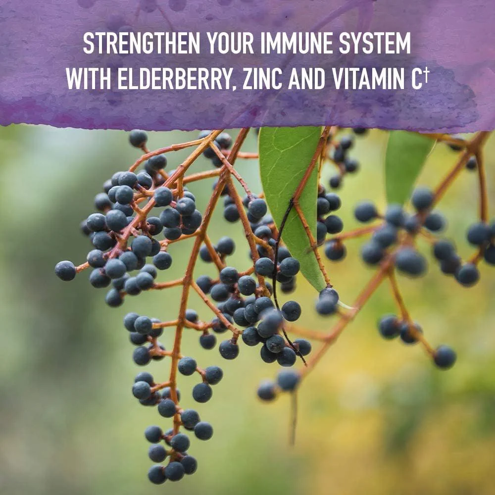 Mykind Organics Elderberry and Sleep Syrup 6.59 Oz Syrup - Image 3