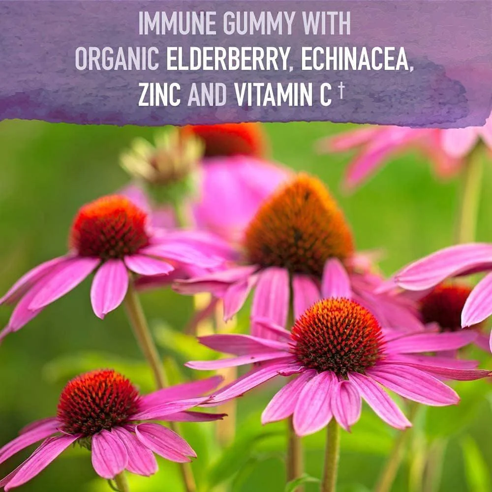 Mykind Organics Elderberry Immune Gummy 120 Vegan Gummies - Image 2