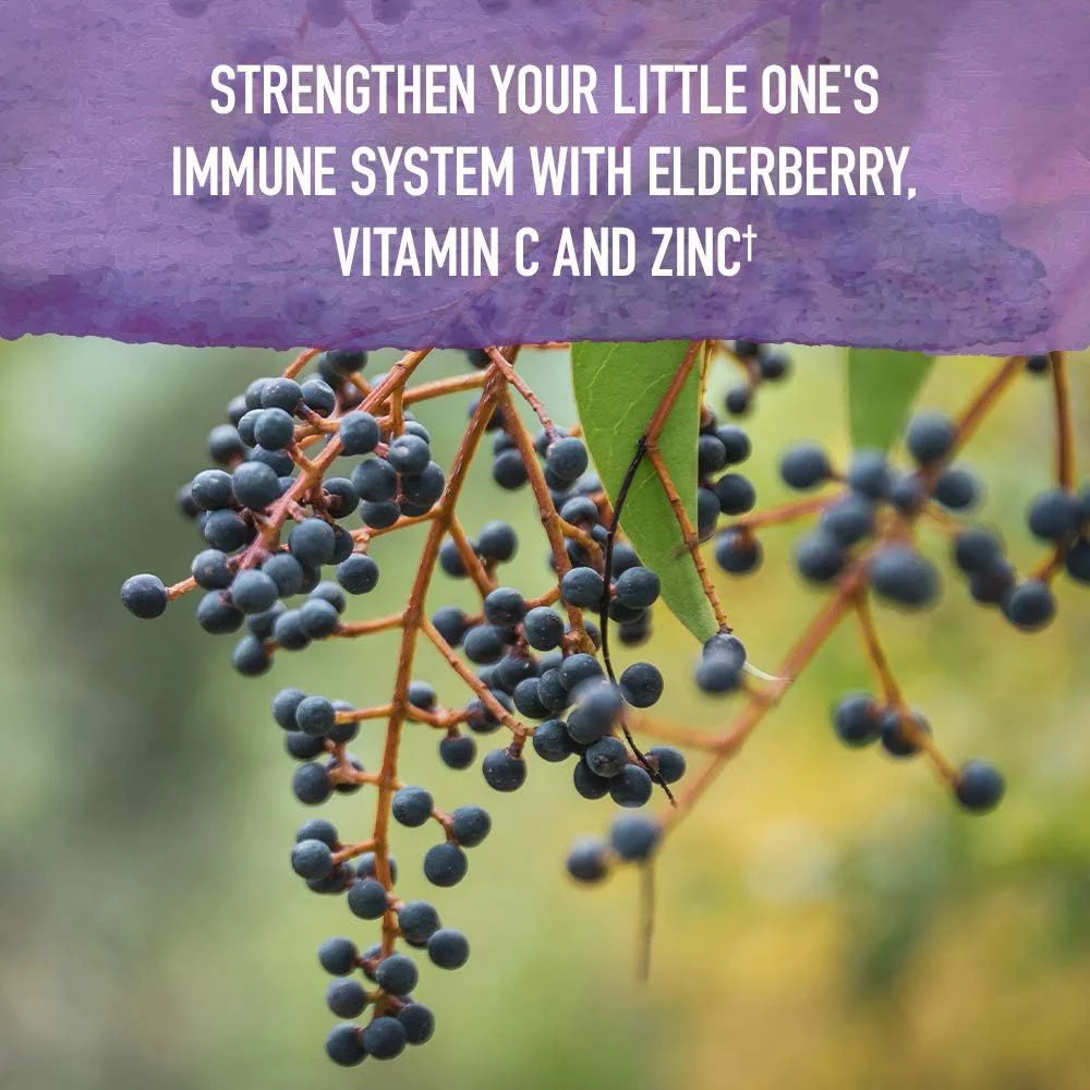 Mykind Organics Kids Elderberry and Sleep Syrup 3.92 Oz Liquid - Image 3