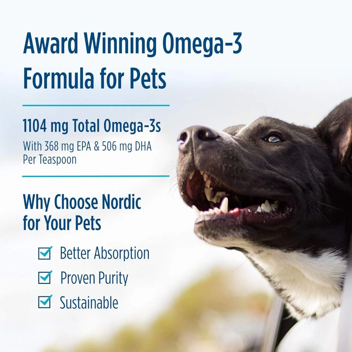 Omega-3 Pet 16 Oz Liquid Unflavored - Image 10