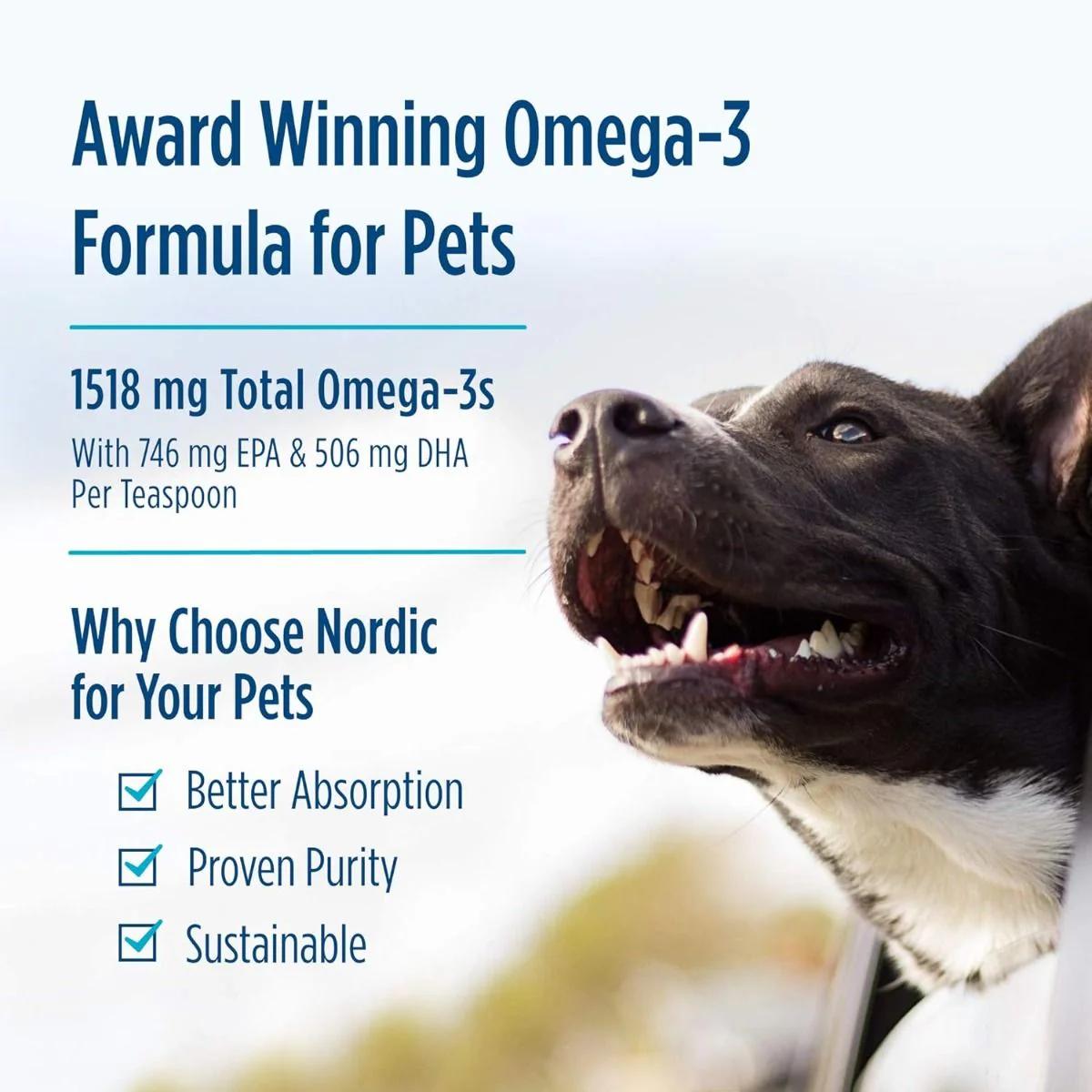 Omega-3 Pet 8 Oz Liquid - Image 4