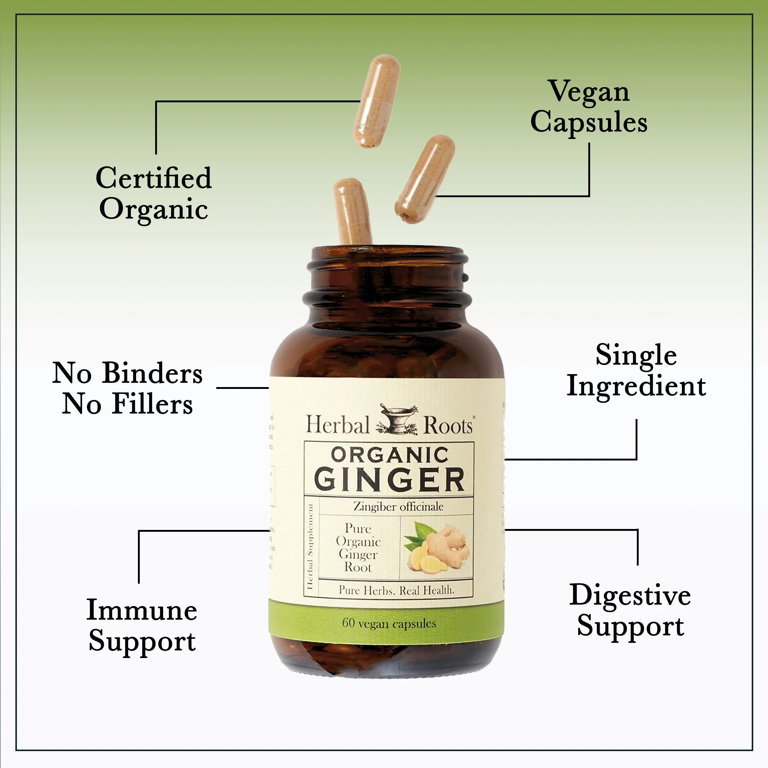 Organic Ginger - Image 3