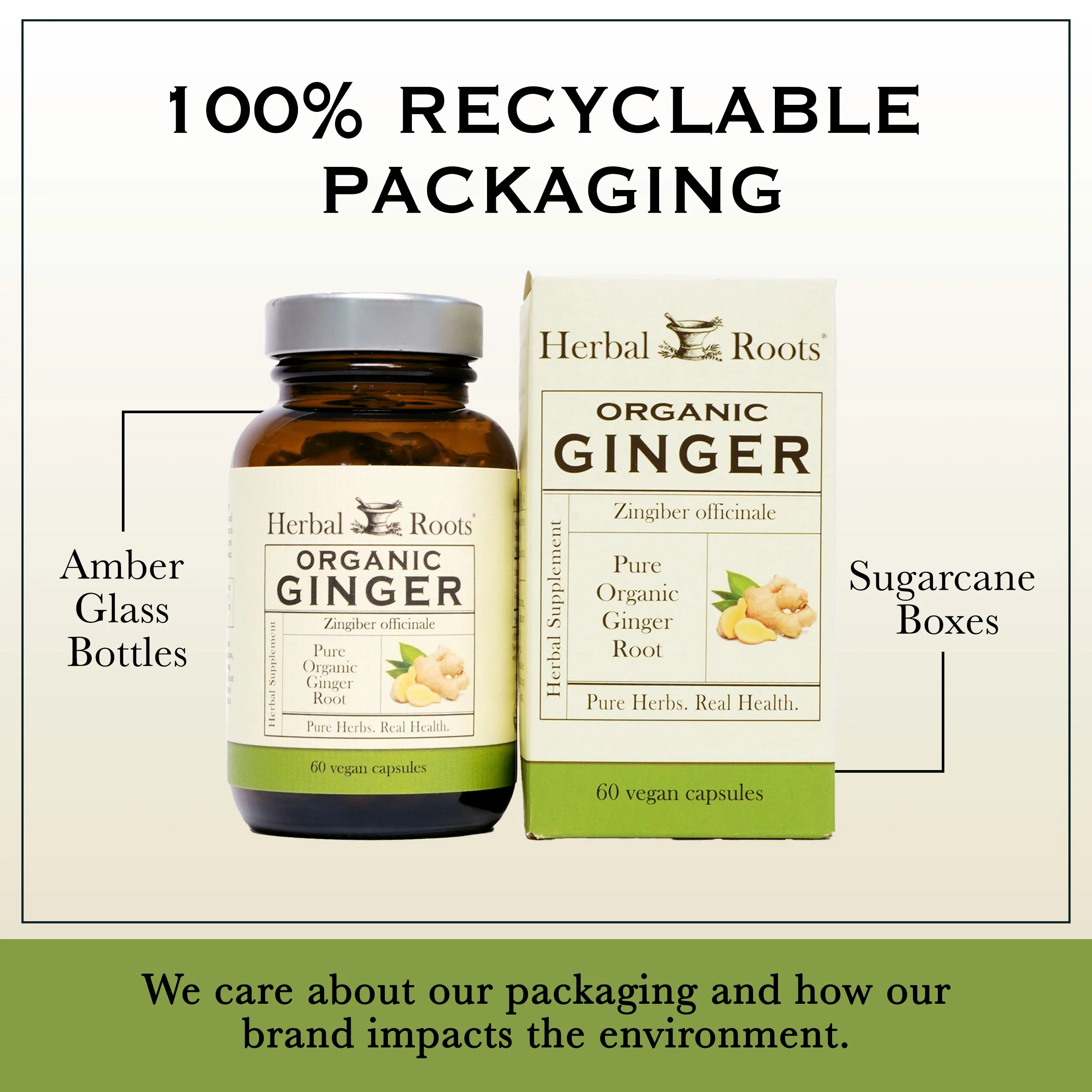 Organic Ginger - Image 5