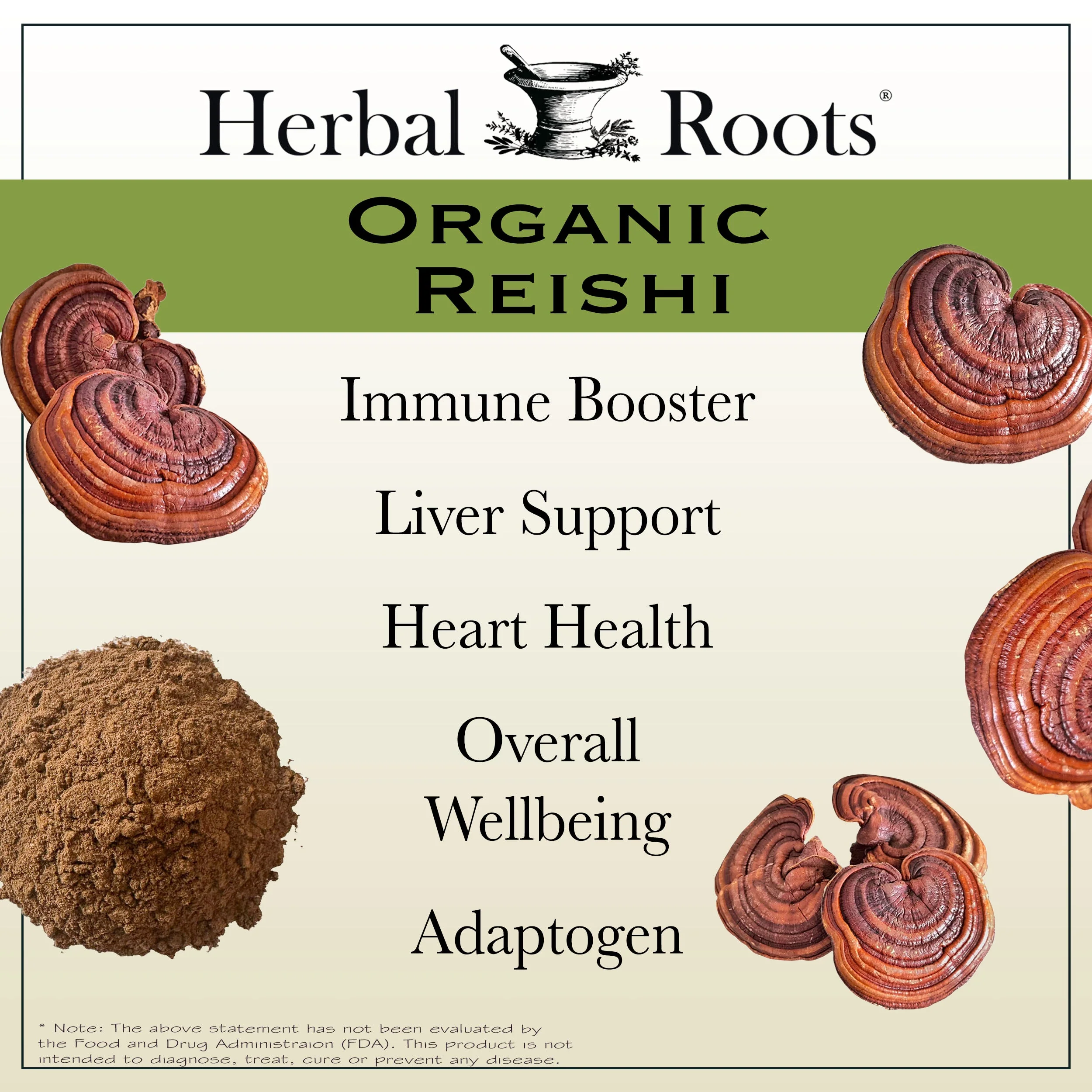 Organic Reishi Mushroom - Image 2
