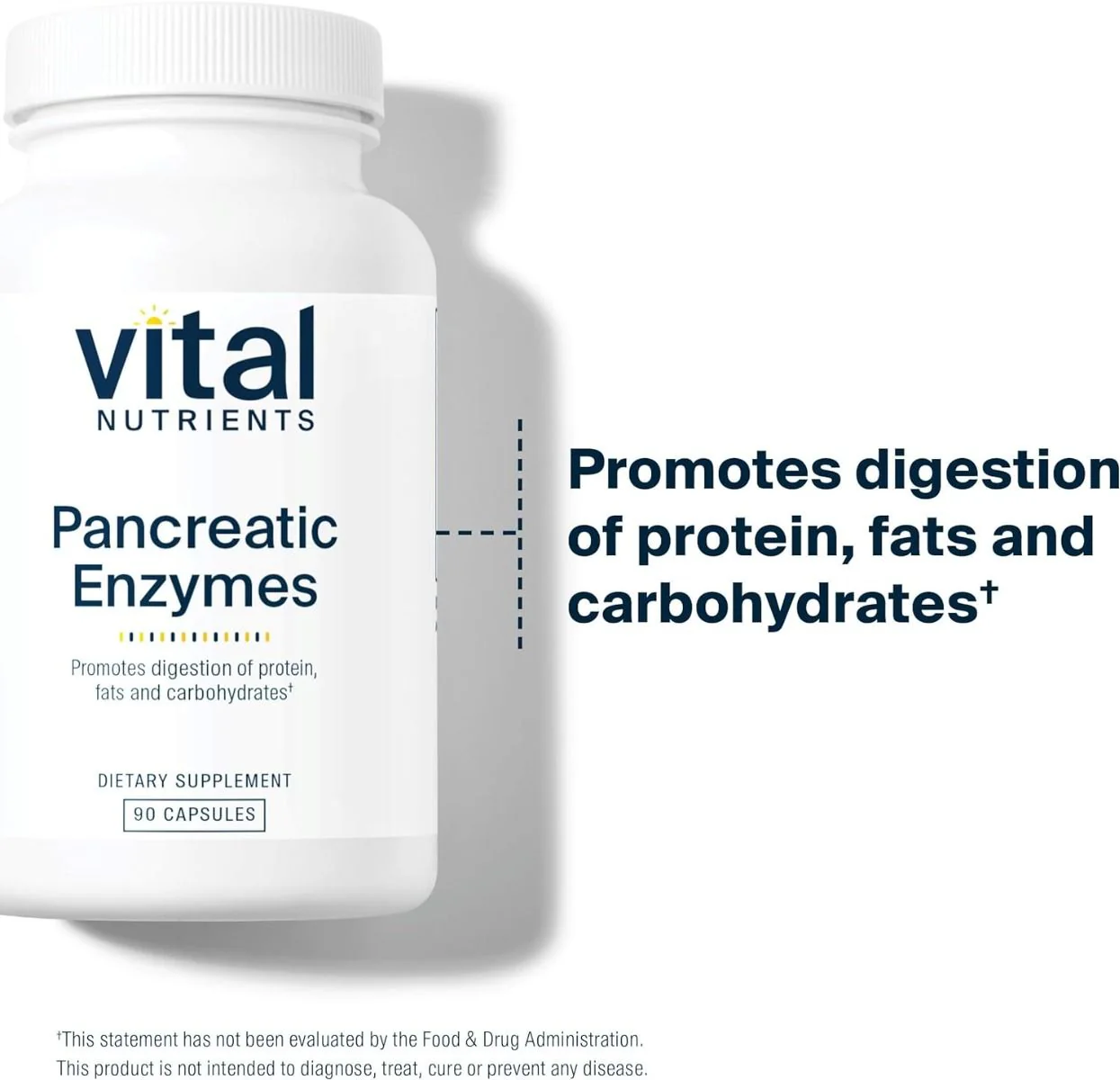 Pancreatin & Ox Bile 60 Veggie Caps - Image 2