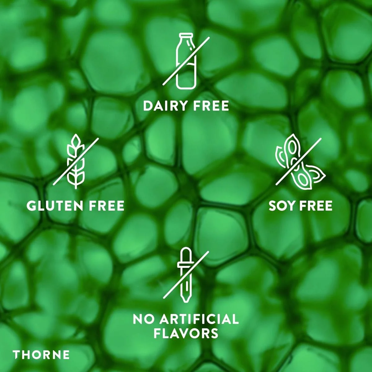 Phytoprofen 60 Veggie Caps - Image 6