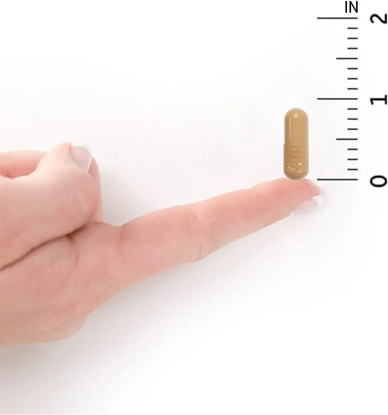 RAW Probiotics Vaginal Care Shelf Stable 50 Billion 30 Veggie Caps - Image 3