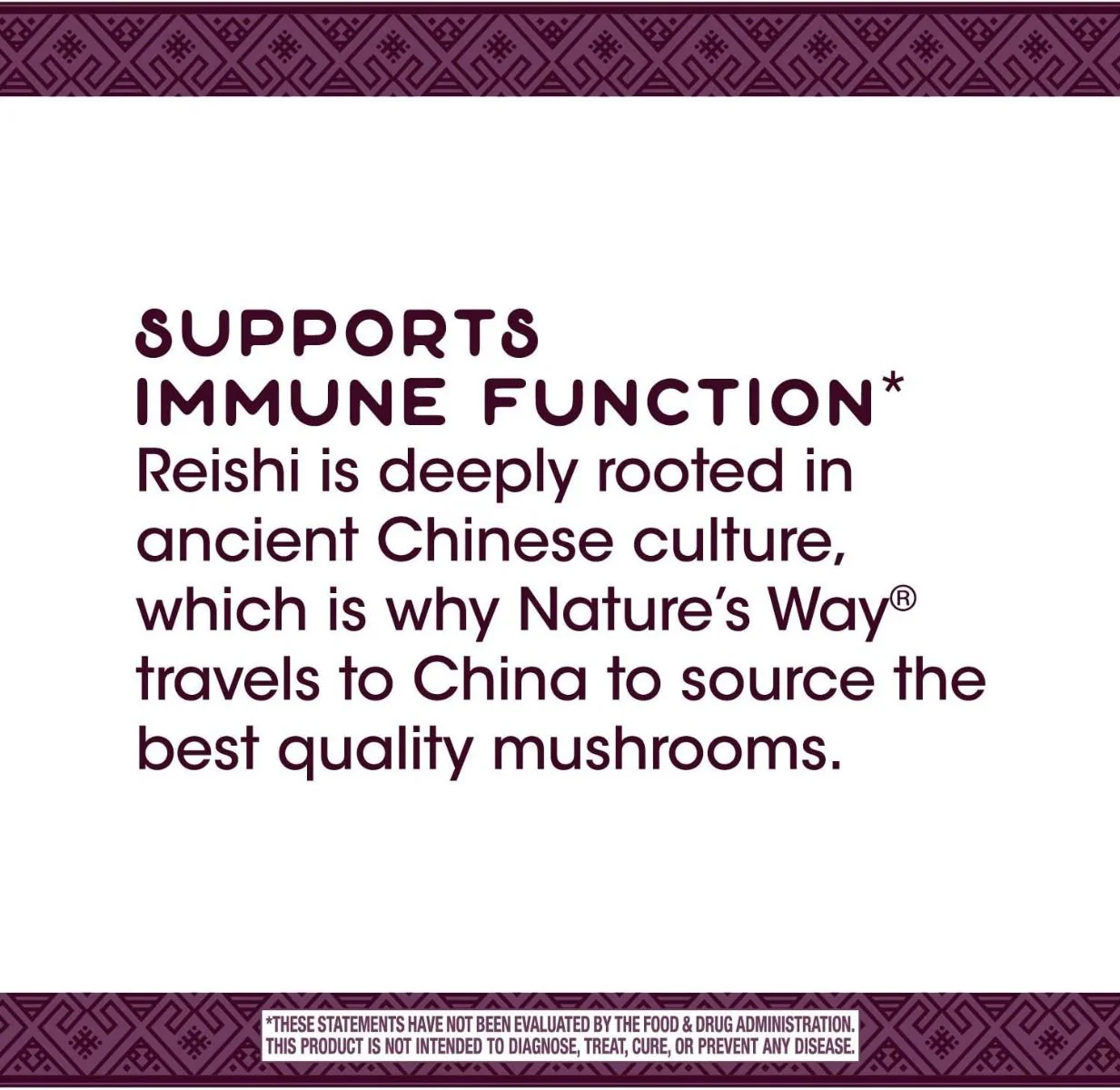Reishi 100Capsules - Image 4