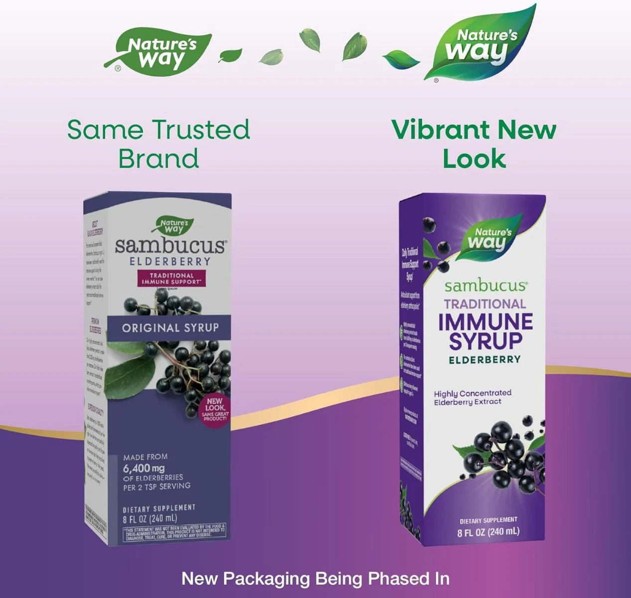 Sambucus 8 fl oz (240 mL)SyrupBlack Elderberry - Image 2