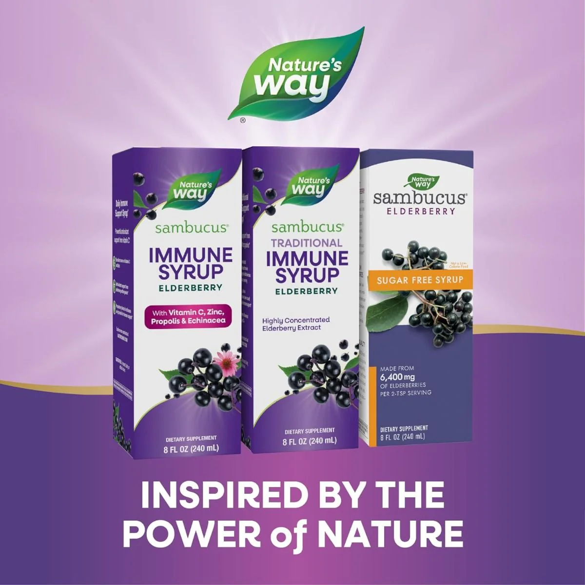 Sambucus 8 fl oz (240 mL)SyrupBlack Elderberry - Image 7