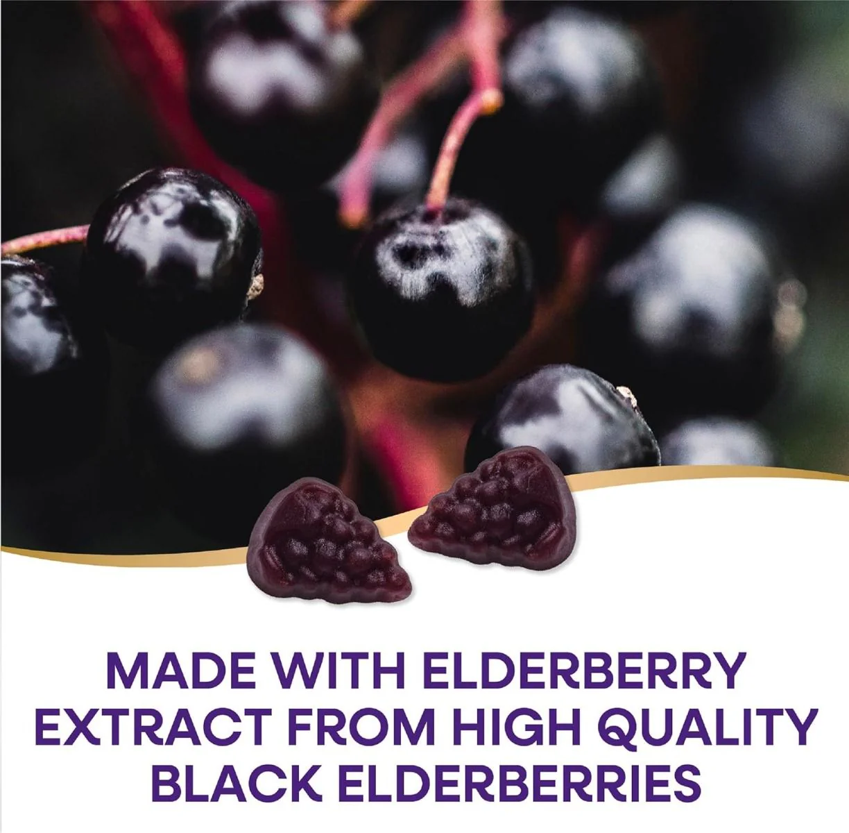 Sambucus Gummies 60Black Elderberry - Image 3